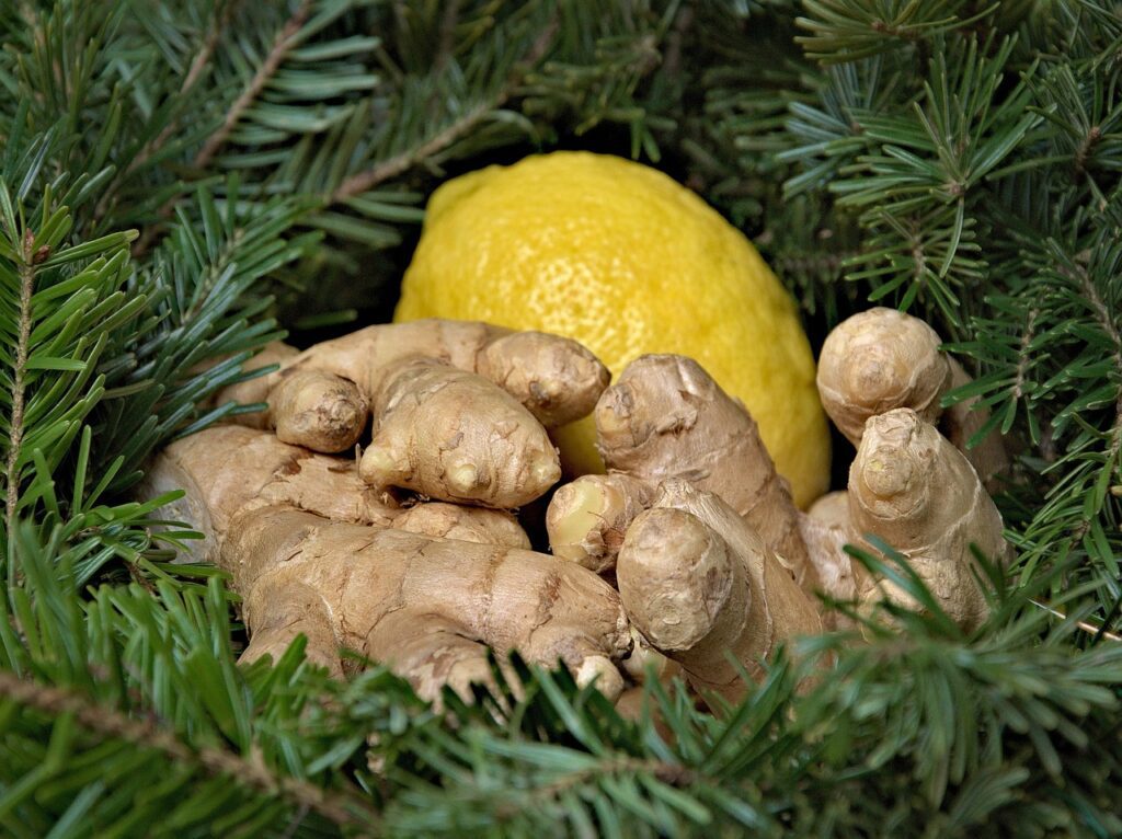 ginger, lemon, holidays-1928545.jpg