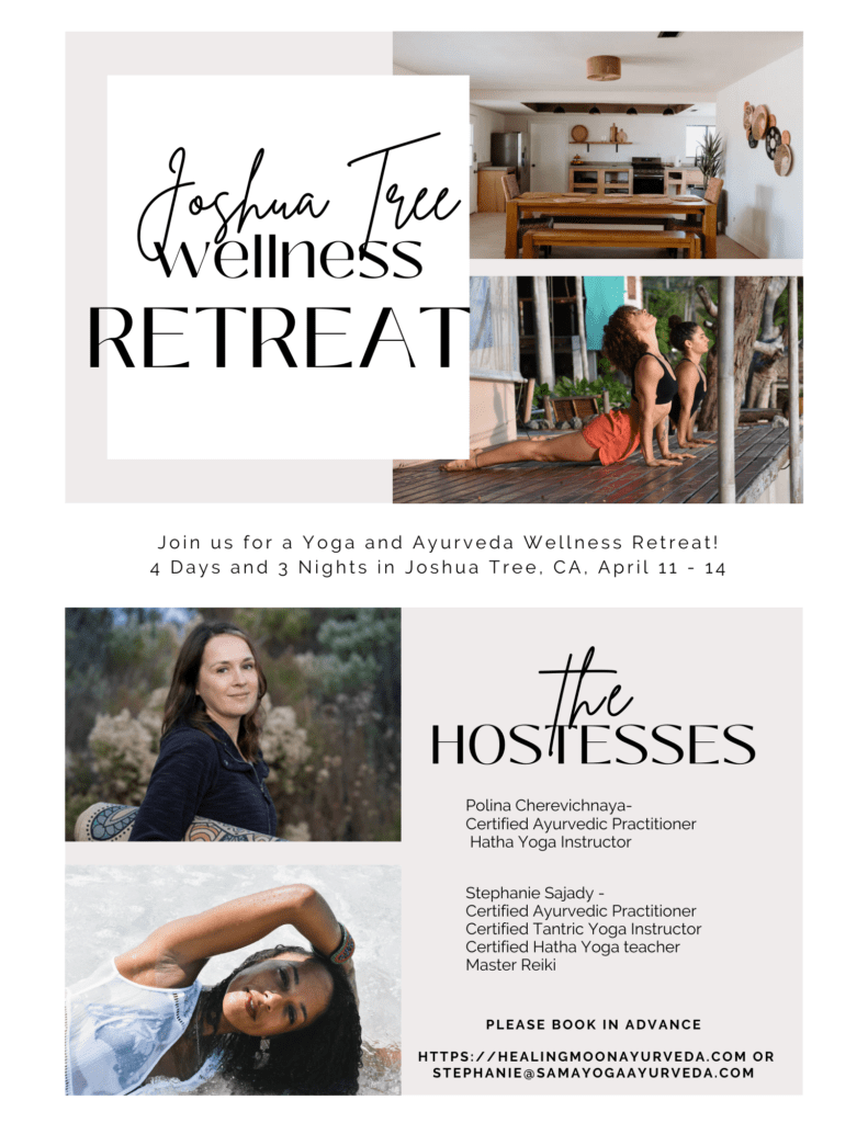 Joshua Tree wellness retreat